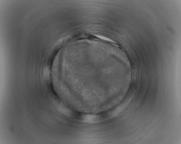 X0000113570575200910161521