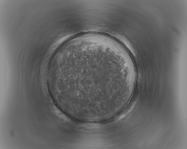 X0000113570577200910161520