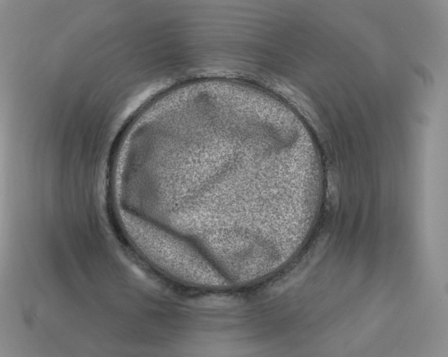 X0000113570578200910161520