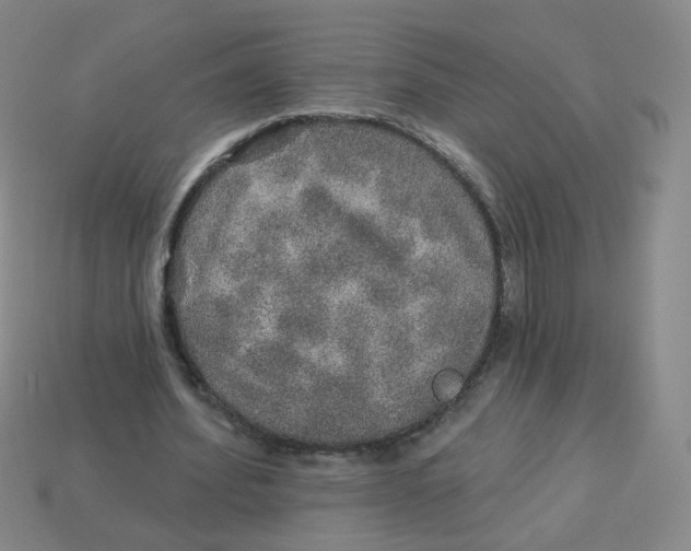 X0000113570580200910161520