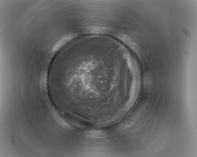 X0000113570581200910161520