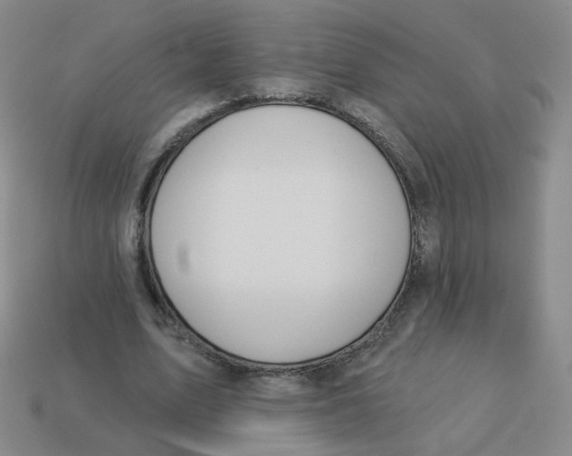 X0000113570583200910161520