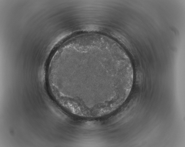 X0000113570584200910161520