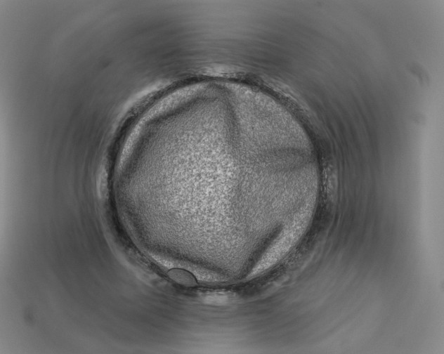 X0000113570587200910161520