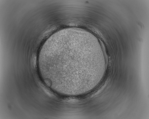 X0000113570589200910161520