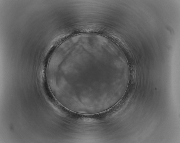 X0000113570590200910161520