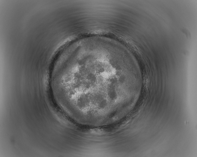 X0000113570591200910161520