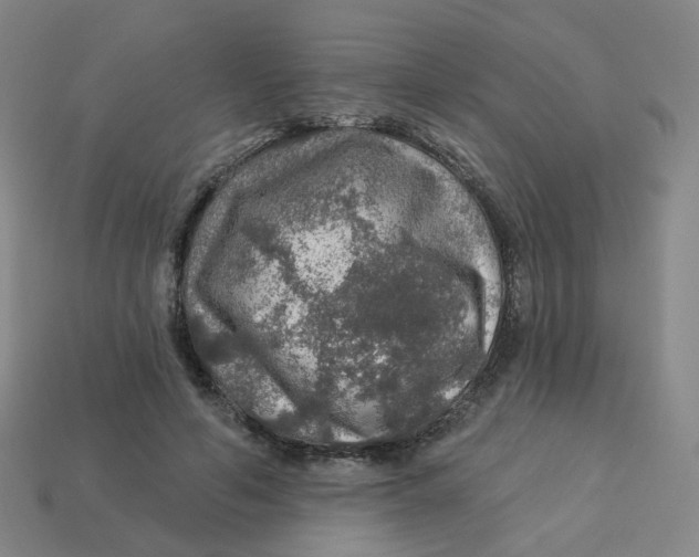 X0000113570594200910161520