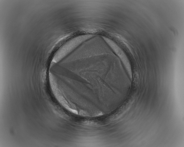 X0000113570596200910161520