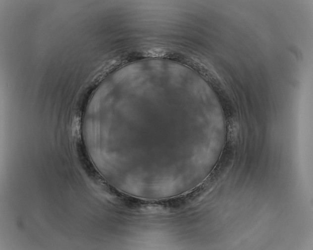 X0000113570598200910161520