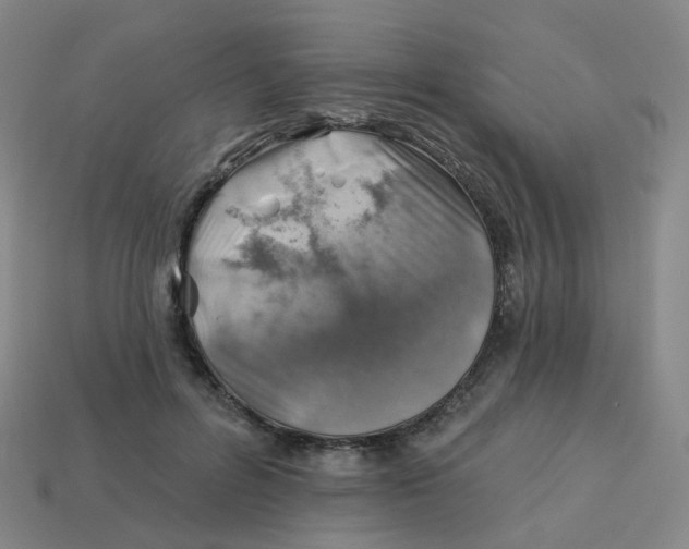 X0000113570600200910161519