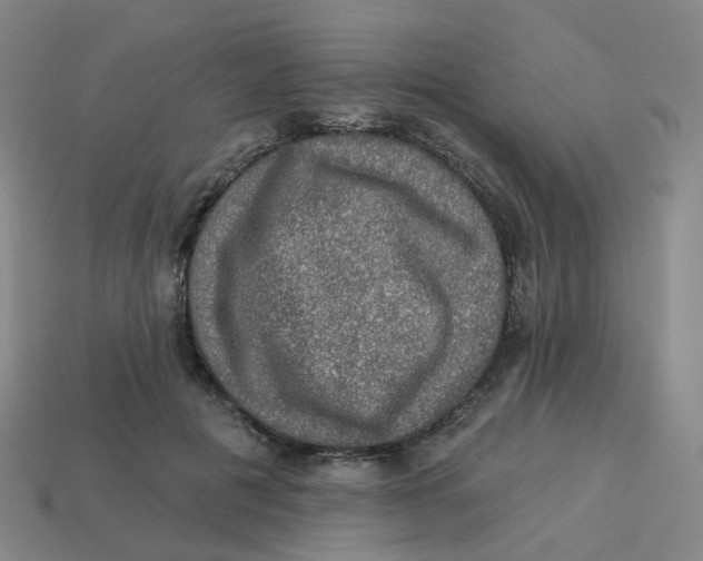 X0000113570601200910161519