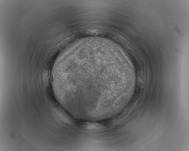 X0000113570605200910161519