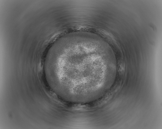 X0000113570607200910161519