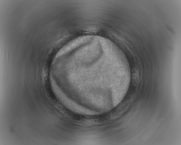 X0000113570608200910161519