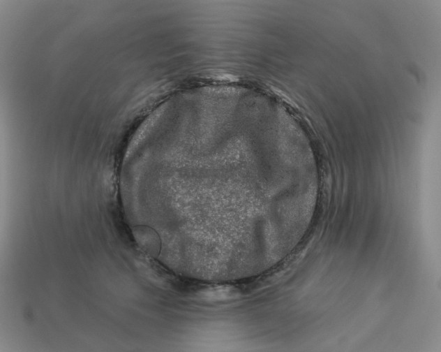 X0000113570609200910161519