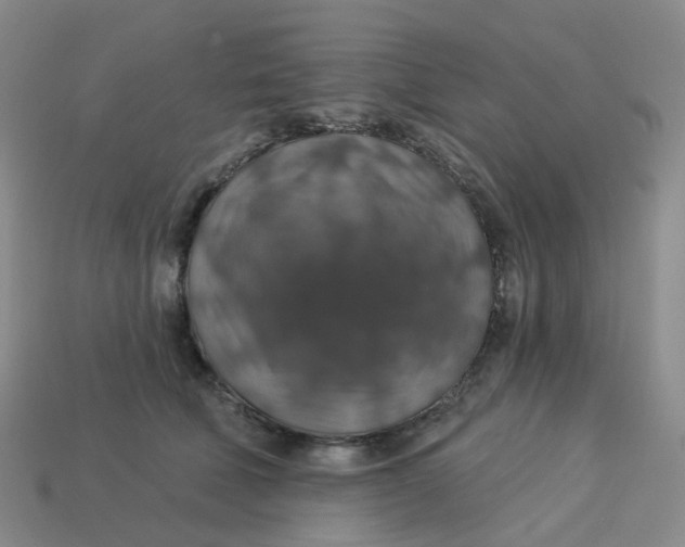 X0000113570610200910161519