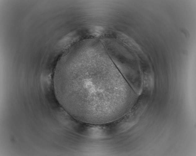 X0000113570611200910161519