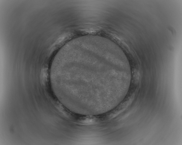 X0000113570612200910161519