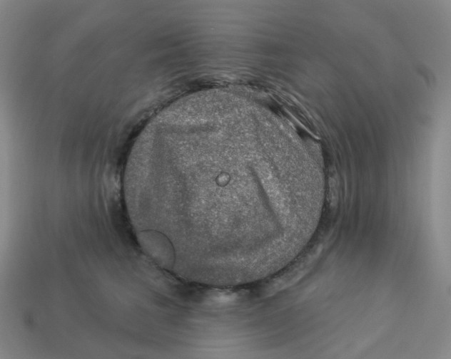 X0000113570613200910161519