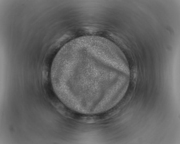 X0000113570615200910161519