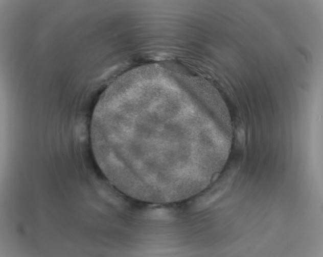 X0000113570620200910161519