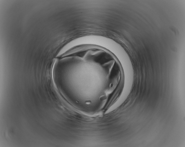 X0000113570621200910161519