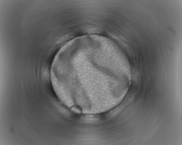 X0000113570622200910161519