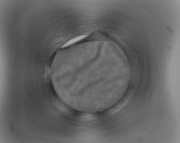 X0000113570624200910161519