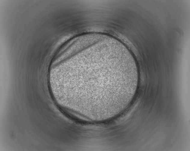 X0000113570625200910161519