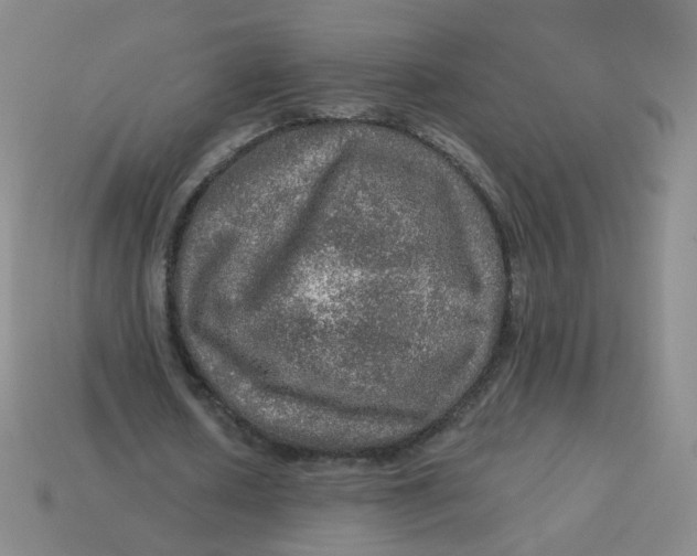 X0000113570626200910161519