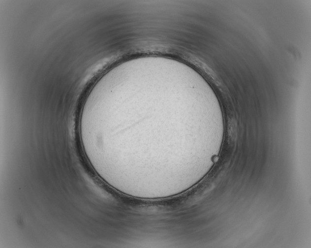 X0000113570629200910161519