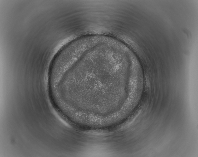 X0000113570630200910161519