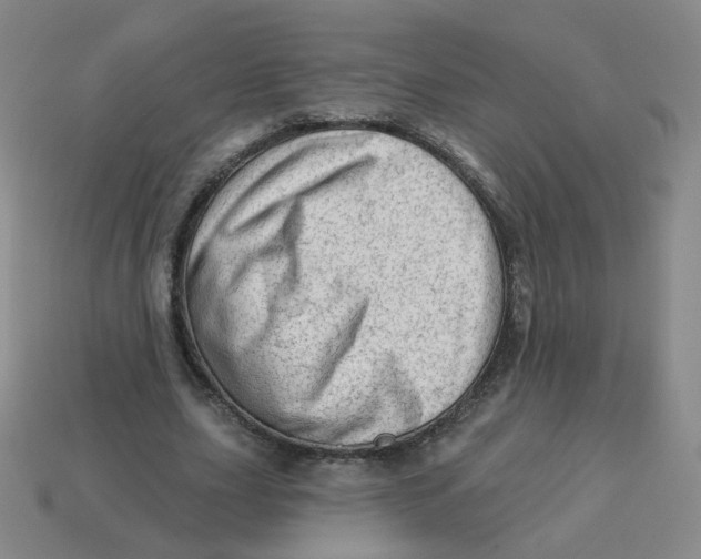 X0000113570631200910161519