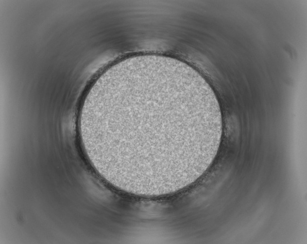 X0000113570632200910161519