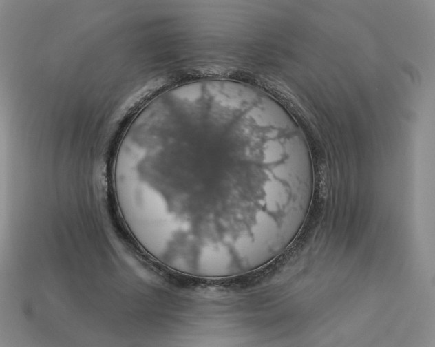 X0000113570634200910161519