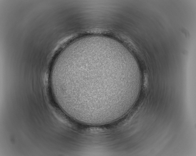 X0000113570636200910161519