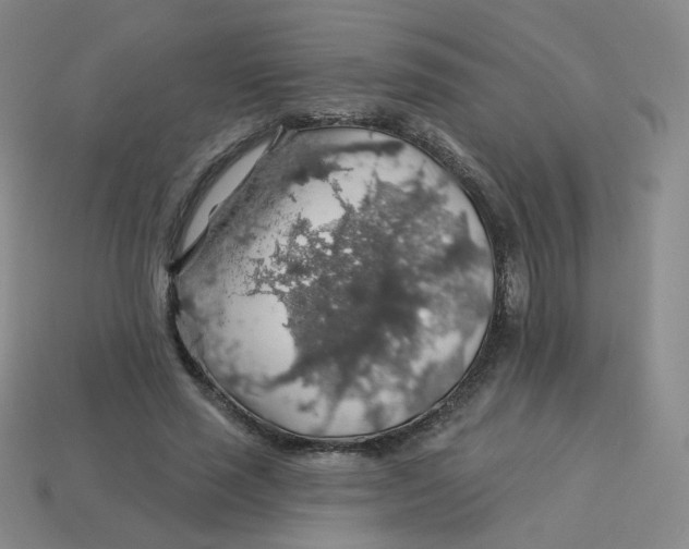 X0000113570637200910161519