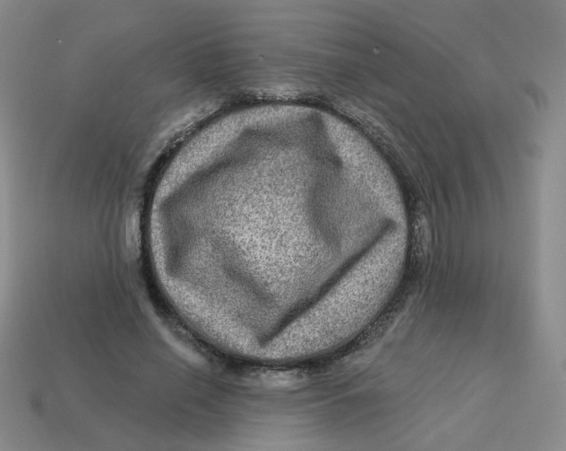 X0000113570638200910161519