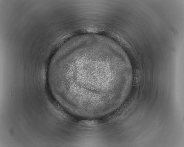 X0000113570639200910161519