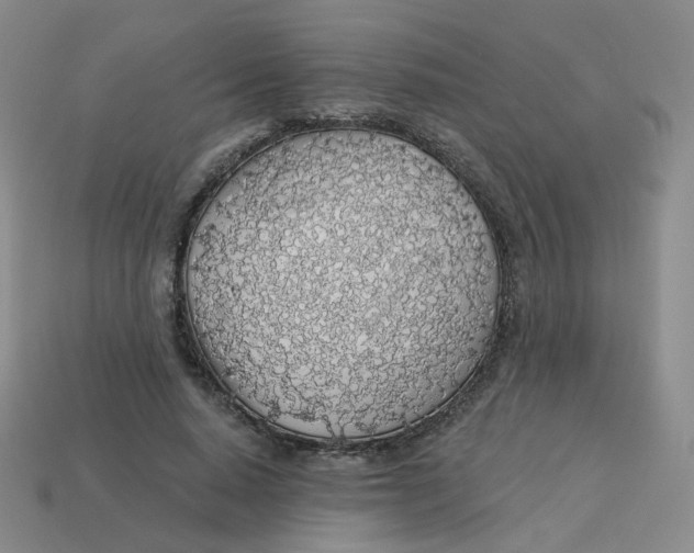 X0000113570640200910161519