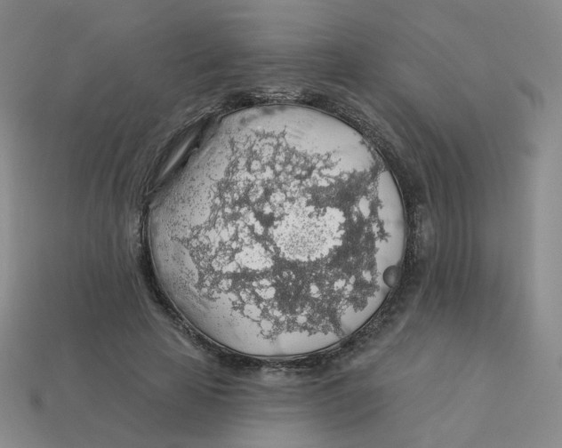 X0000113570641200910161519