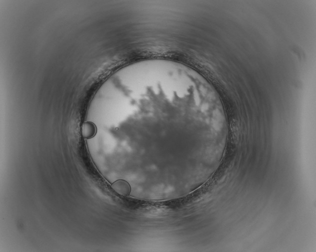 X0000113570642200910161519