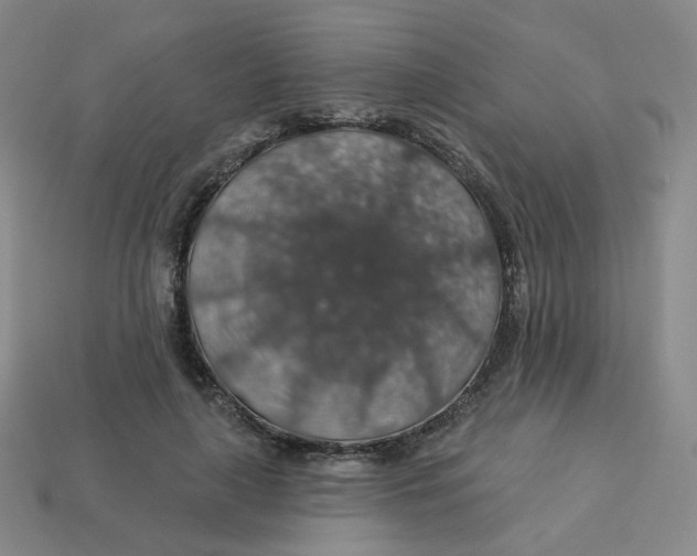 X0000113570643200910161519