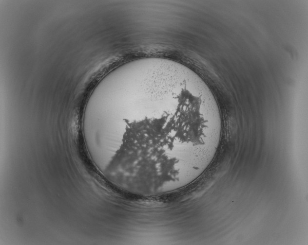 X0000113570644200910161519