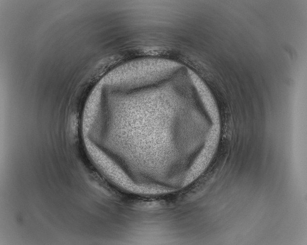 X0000113570646200910161519