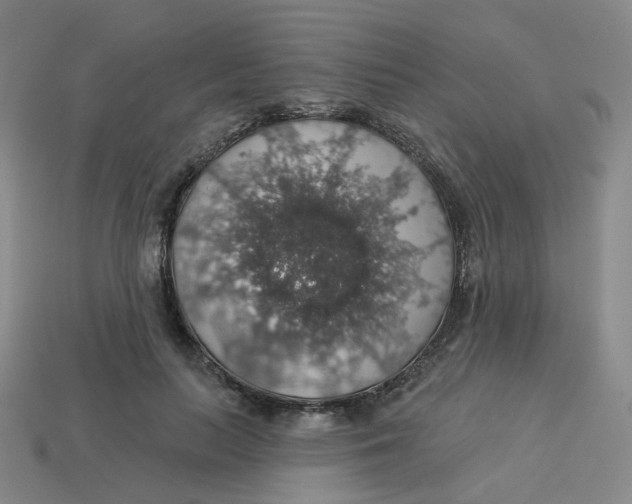 X0000113570647200910161519