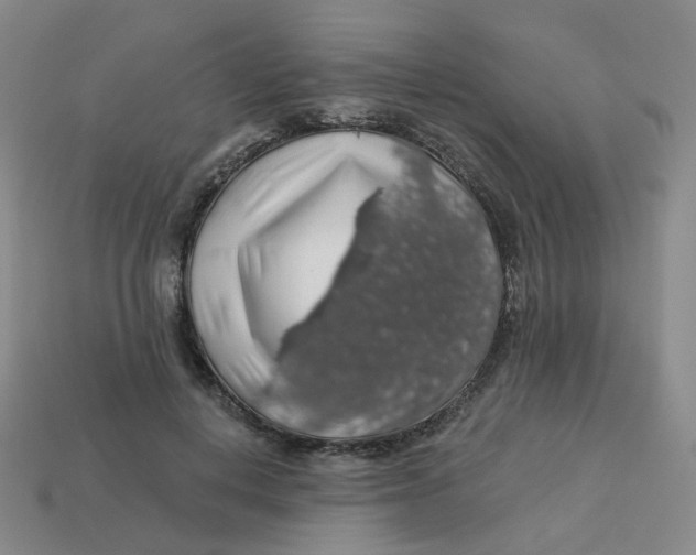 X0000113570648200910161519