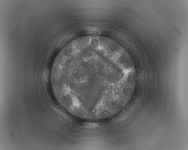 X0000113570649200910161519