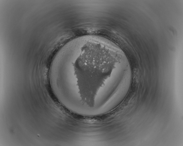 X0000113570650200910161519